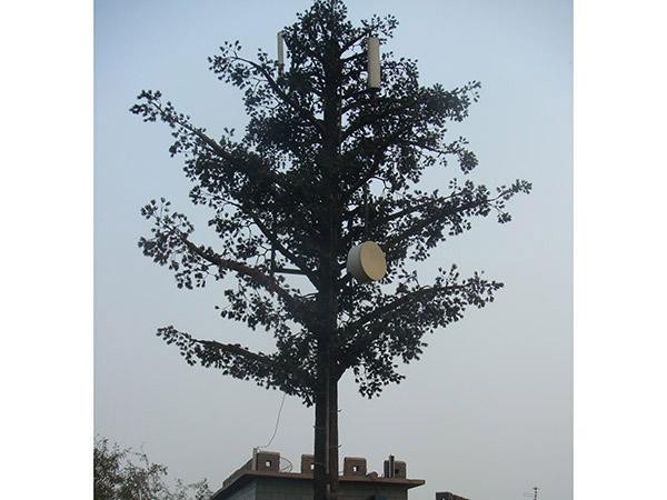  Inner Mongolia bionic tree图片1