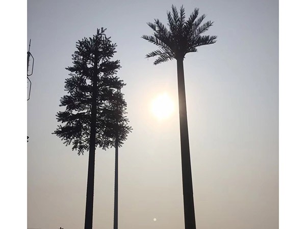 Biomimetic tree